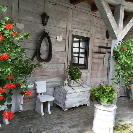 Stajnia Bialy Borek Biskupice Kocurów Εξωτερικό φωτογραφία